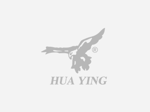 Hua bao Electronics website upgrade of success