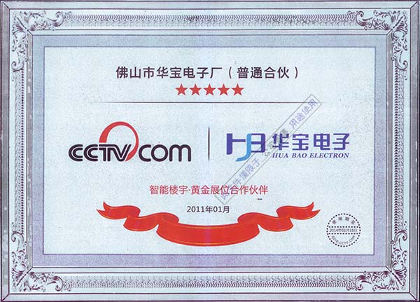 CCTV Partner